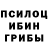Псилоцибиновые грибы Psilocybe jollier x