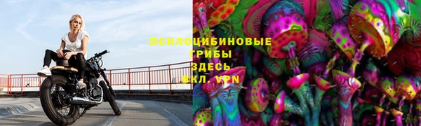 спайс Баксан