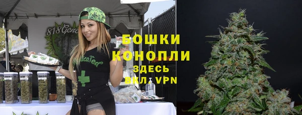 MESCALINE Тавда