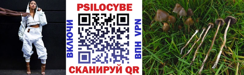 ссылка на мегу ссылки  Галич  Псилоцибиновые грибы Cubensis 